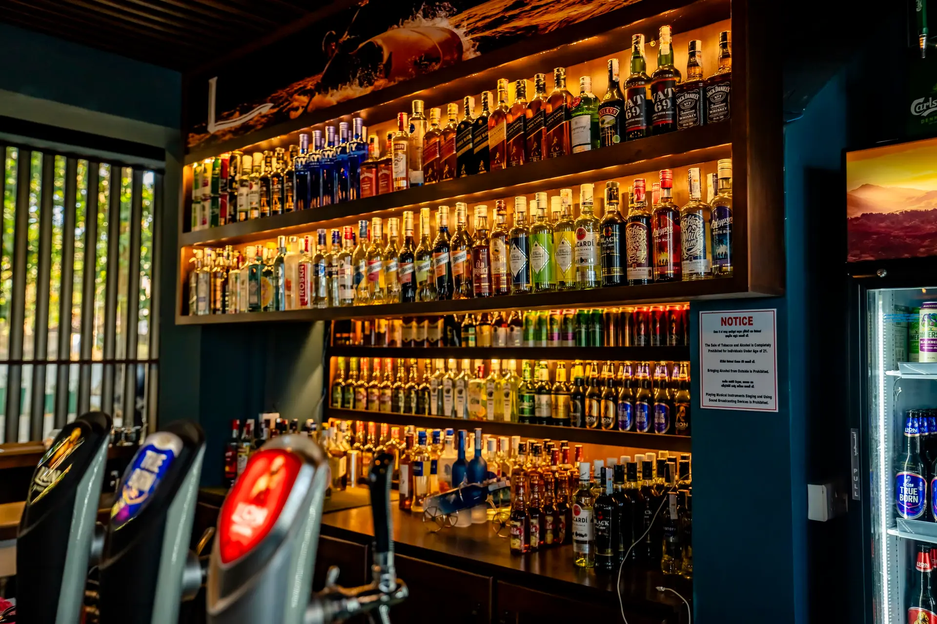 Backlit shelves of spirits behind the bar