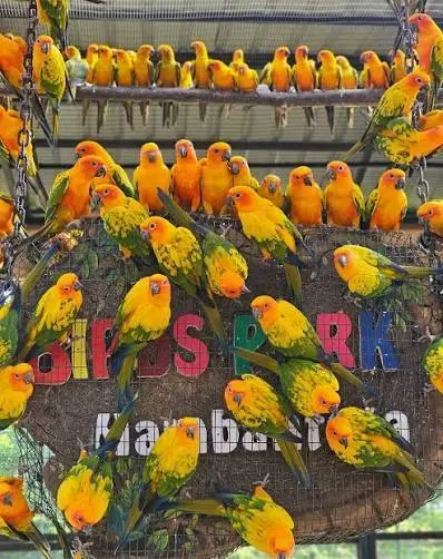 Hambantota Bird Park