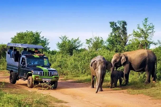 Ridiyagama Safari Park