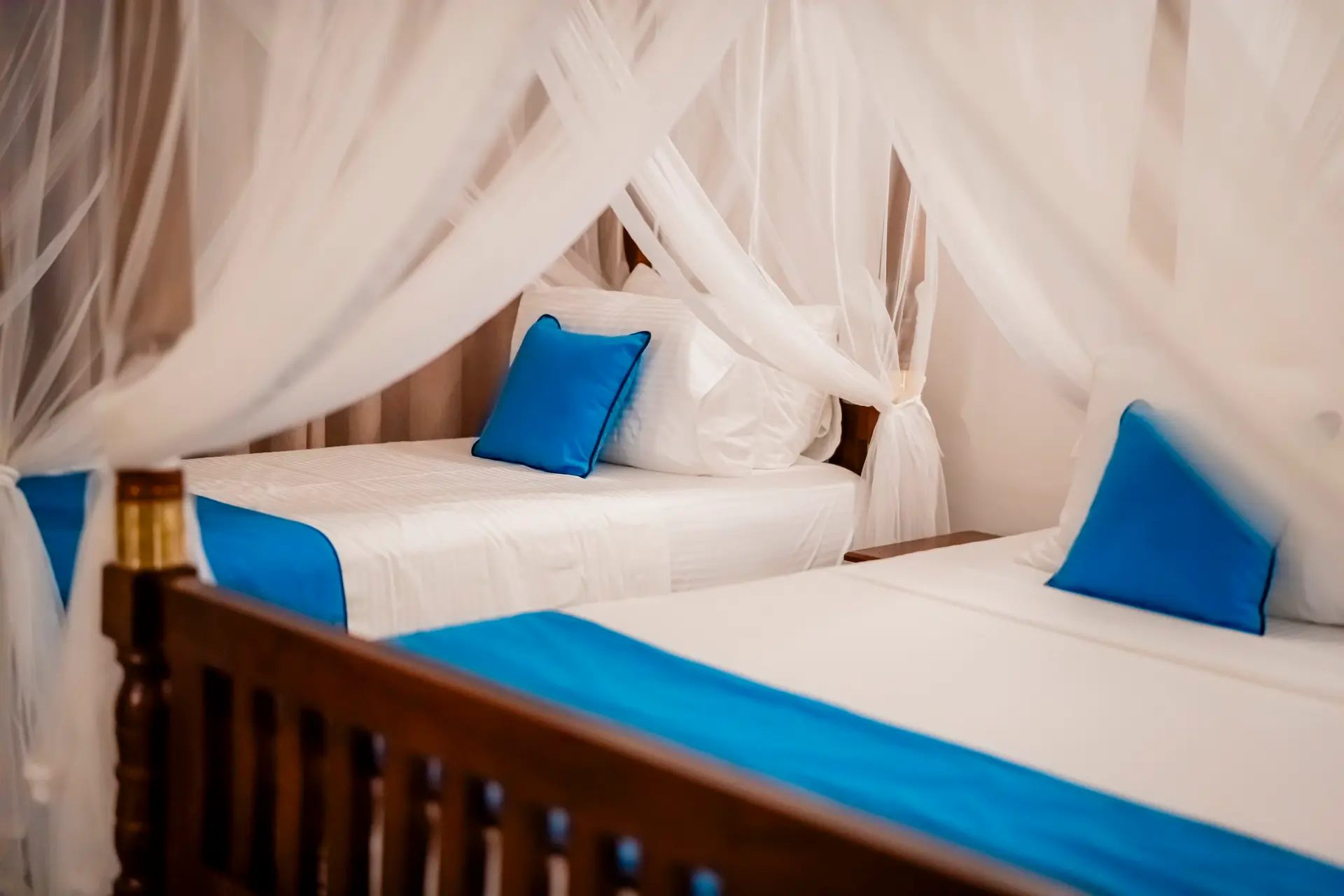 Twin beds under sheer canopies