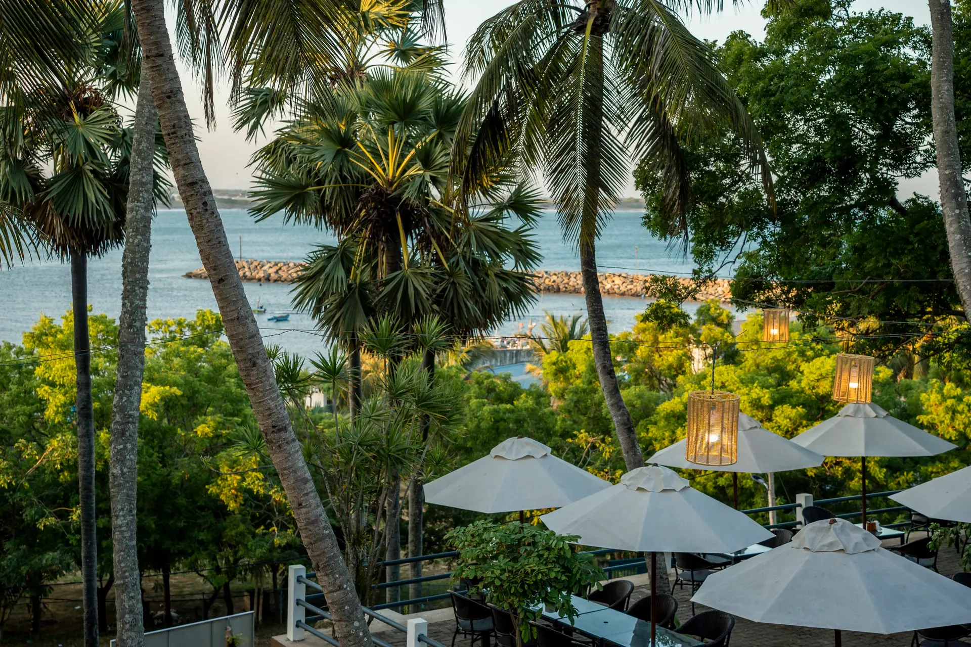Palms and umbrellas above the harbour