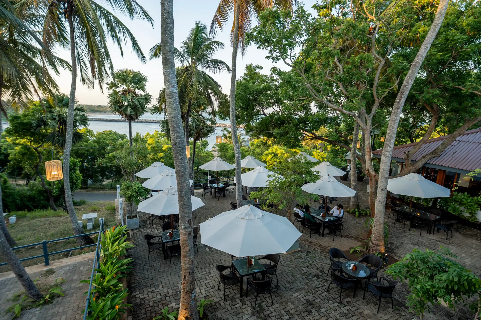 The garden terrace from above